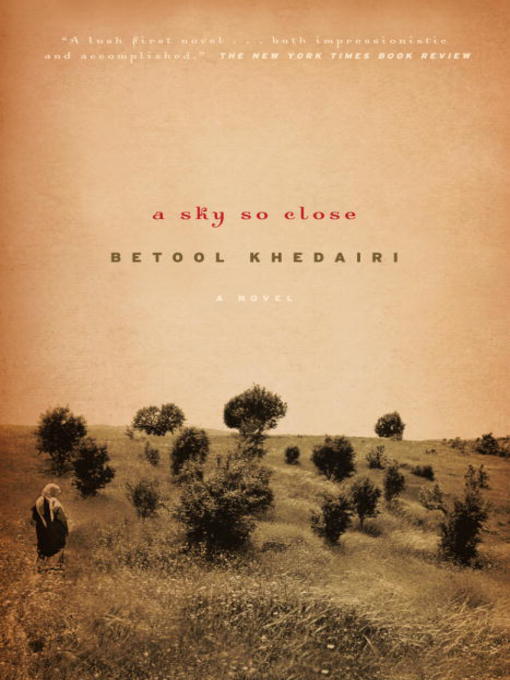 Cover image for A Sky So Close